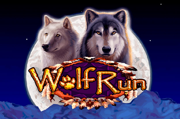 wolf run